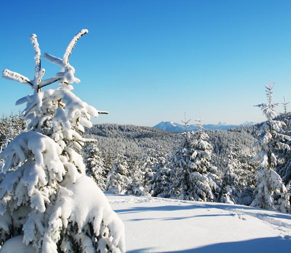 Schneeschuhwandern mit Aussicht